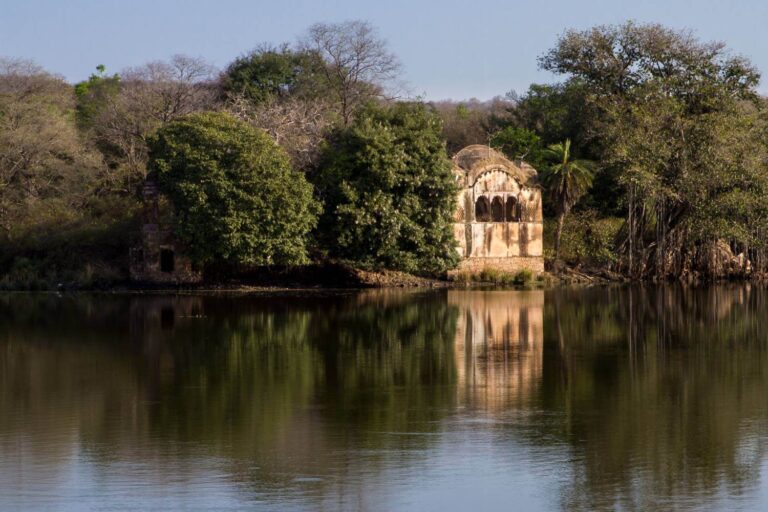 Raj Bagh Ruins Ranthambore